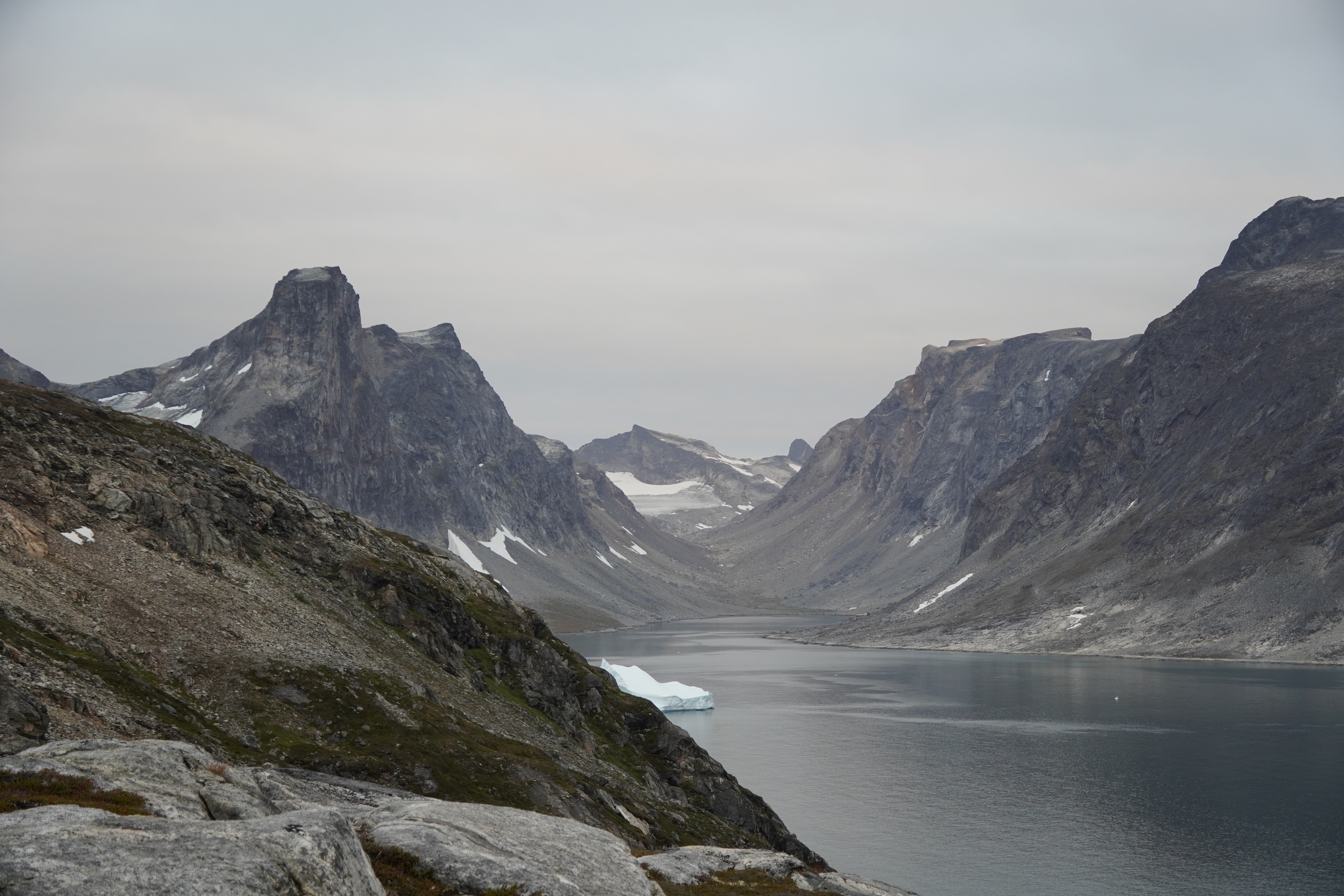 04. Into the wild.JPG